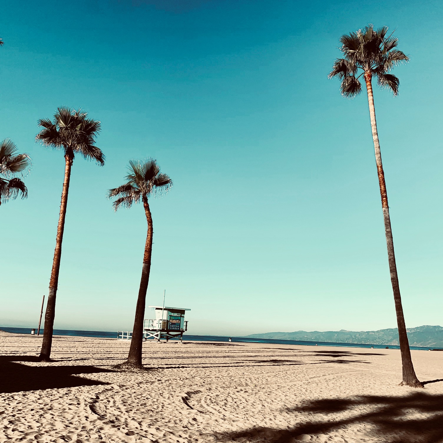 working together - beach